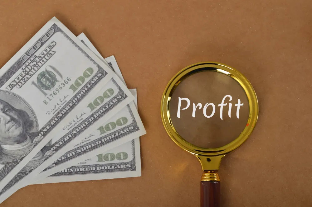 Profit and Loss Statement