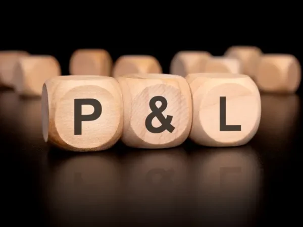 P&L Statement Explained: Simple Guide for Small Businesses
